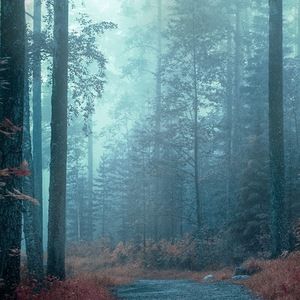 Meet your Posher, Layla